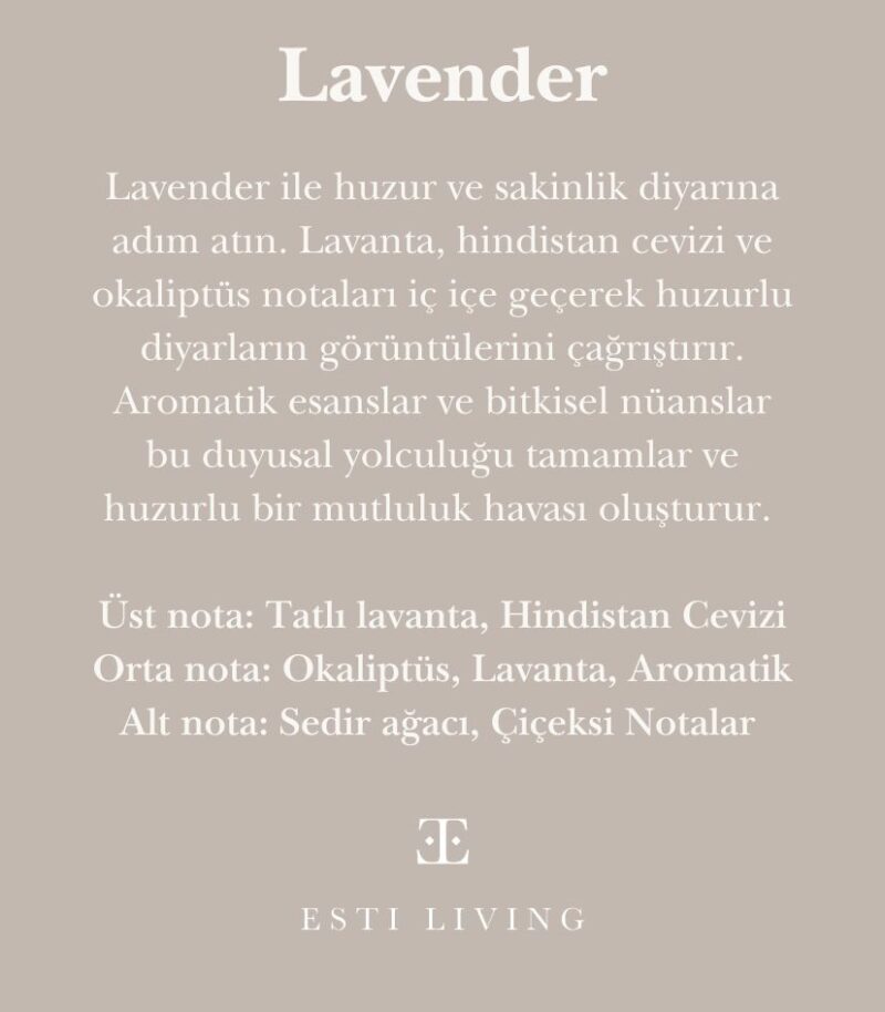 Lavender Midi 2’li Mum Seti - Görsel 4