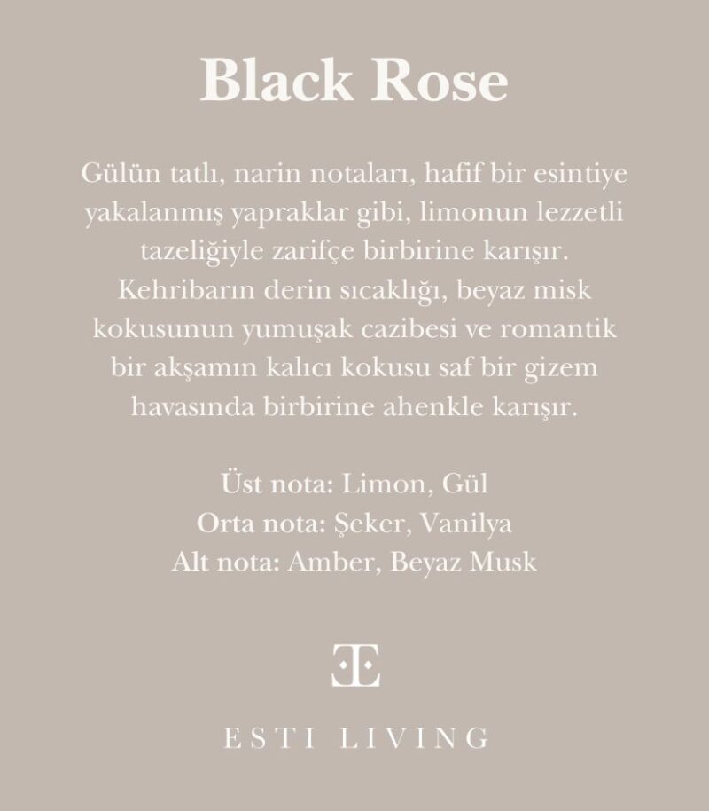 Black Rose Midi 2’li Mum Seti - Görsel 4