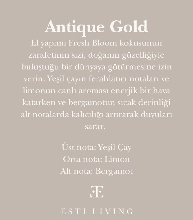 Antique Gold Oda Kokusu Seti - Görsel 4