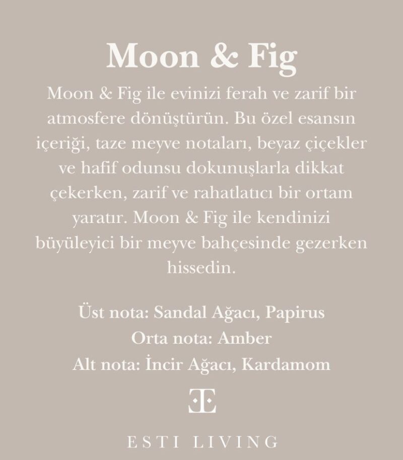 Moon and Fig Taşlı Mum Seti - Görsel 6